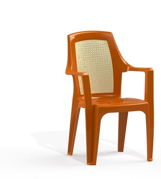 Vizyon Demir Ayak Sandalye Arı Plastik